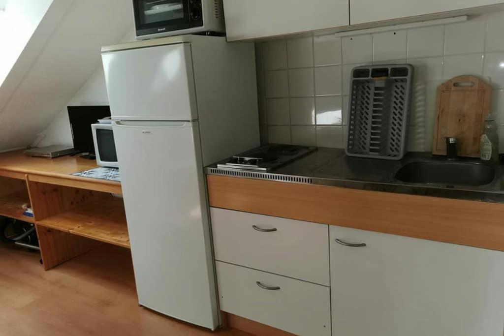 Petit Studio Mansarde 18 M2 Avec Navette Gratuit Aux Pistes De Ski 格雷斯昂韦科尔 外观 照片