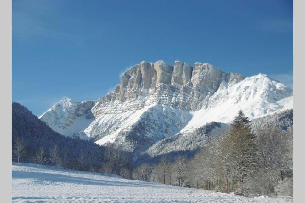 Petit Studio Mansarde 18 M2 Avec Navette Gratuit Aux Pistes De Ski 格雷斯昂韦科尔 外观 照片