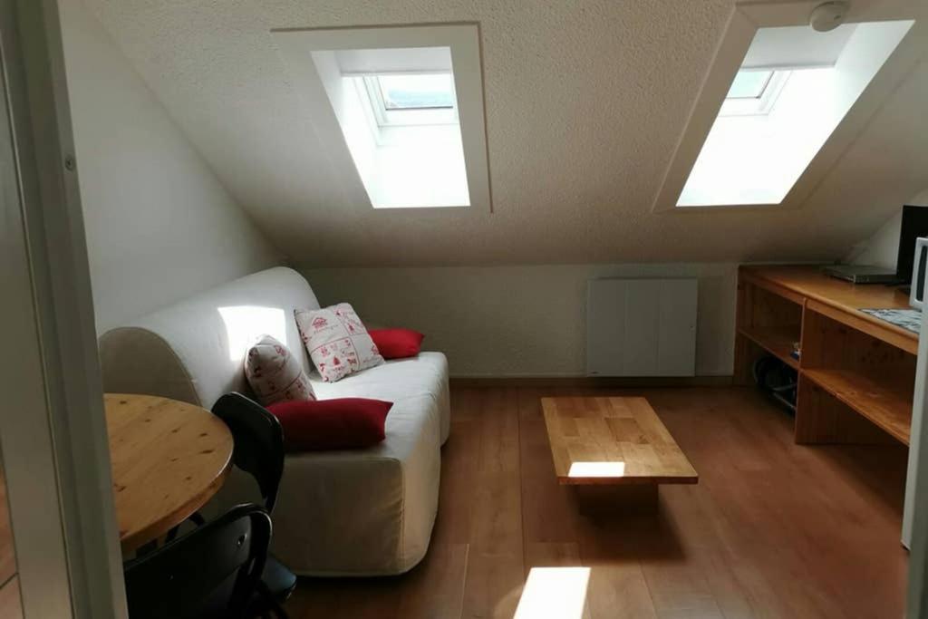 Petit Studio Mansarde 18 M2 Avec Navette Gratuit Aux Pistes De Ski 格雷斯昂韦科尔 外观 照片