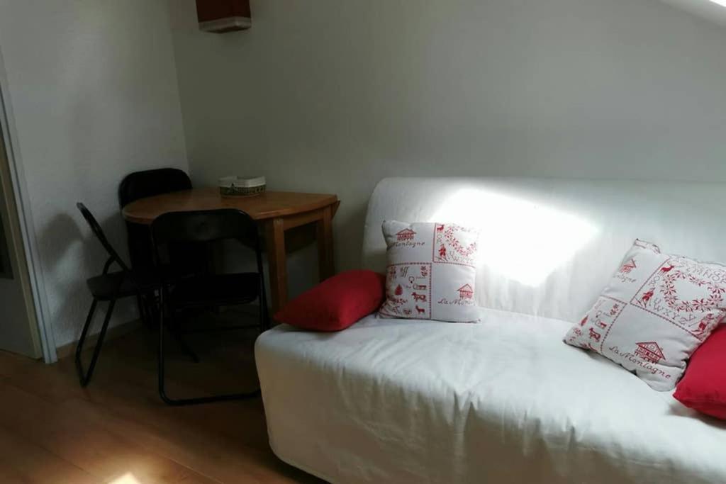 Petit Studio Mansarde 18 M2 Avec Navette Gratuit Aux Pistes De Ski 格雷斯昂韦科尔 外观 照片